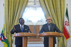 گامبی: ایران برای همکاری با آفریقای مرکزی اعلام آمادگی کرده است